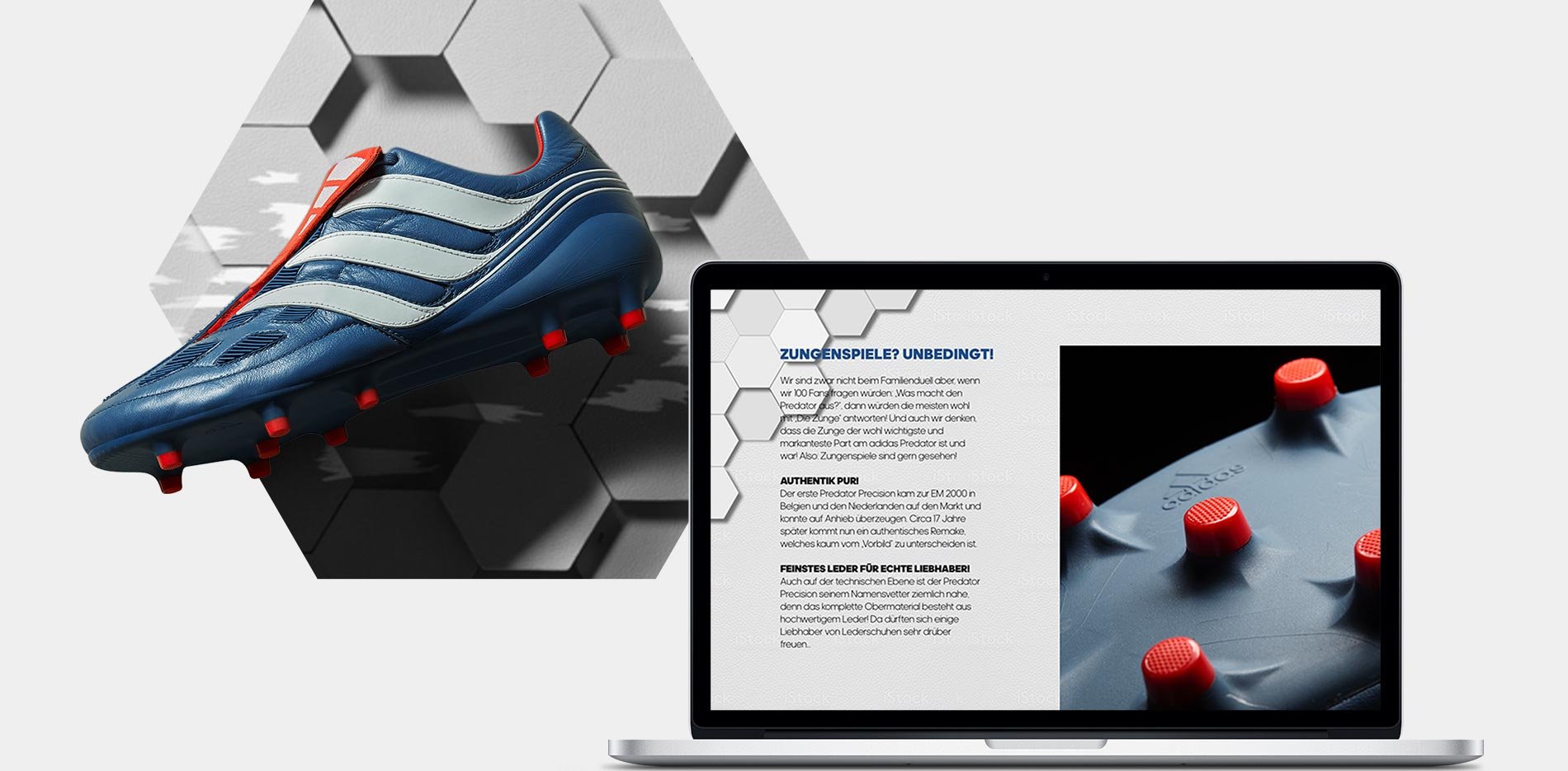 Beispiel Product Landingpage Predator